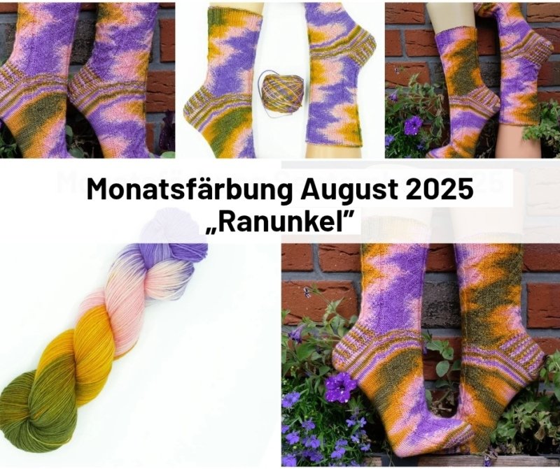 Ranunkel-Monatsfärbung August`25