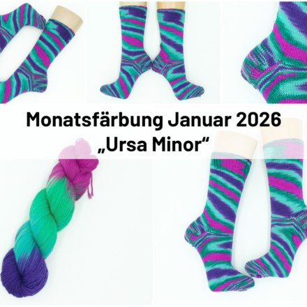 Ursa Minor- Monatsfärbung Januar`26